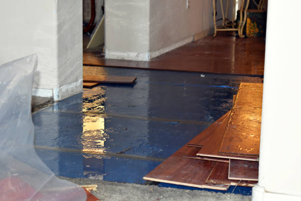 Professional Sewage Cleanup technician working in Casselton, ND